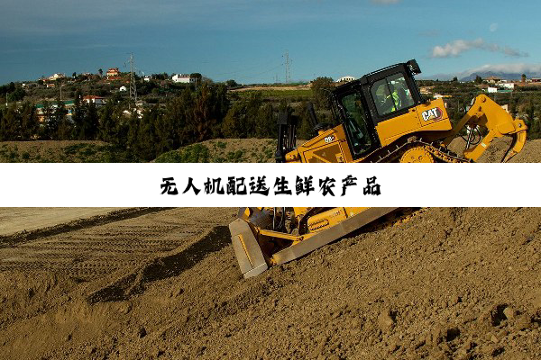 无人机配送生鲜农产品