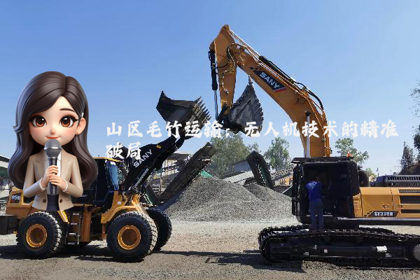 山区毛竹运输：无人机技术的精准破局