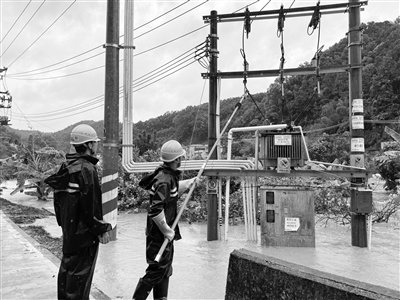 553架无人机出动勘察线路隐患